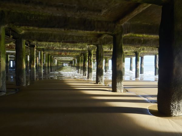 Concrete Pier Repair in Georgetown